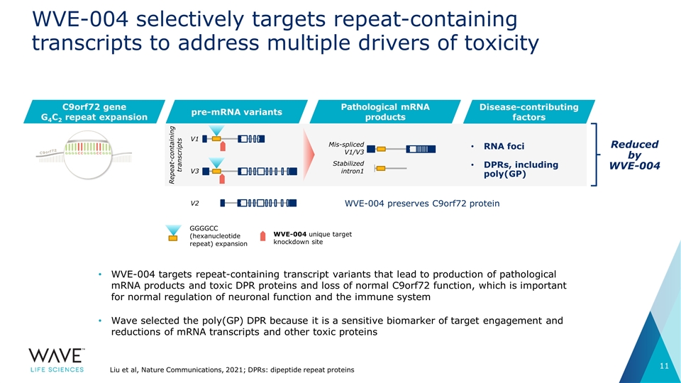 Slide 11