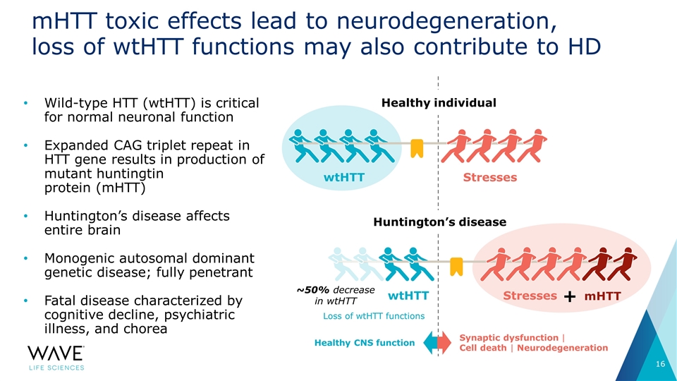 Slide 16