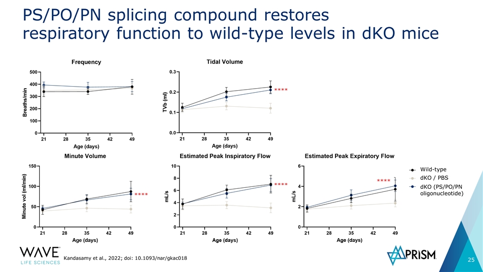 Slide 25