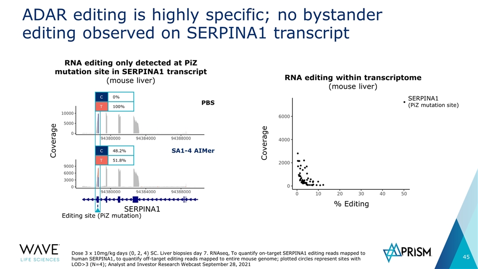 Slide 45