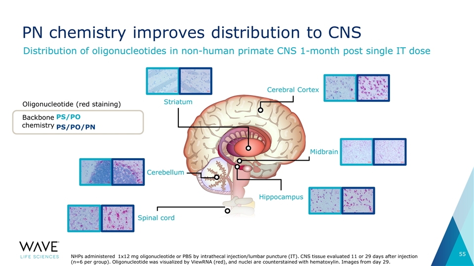 Slide 55