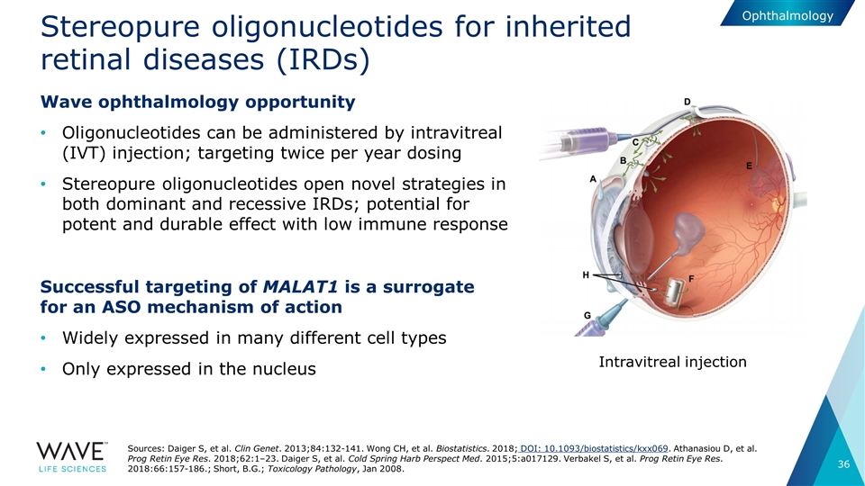 Slide 36