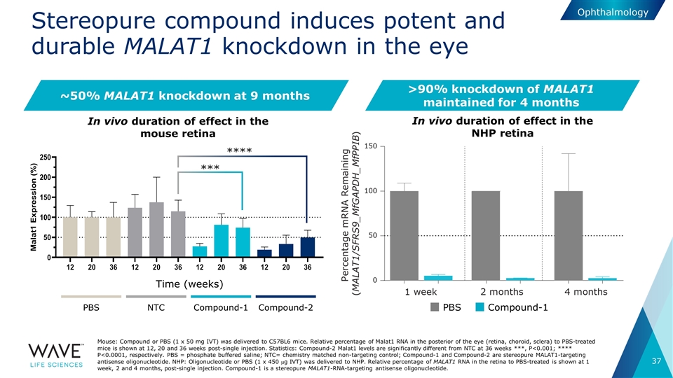 Slide 37
