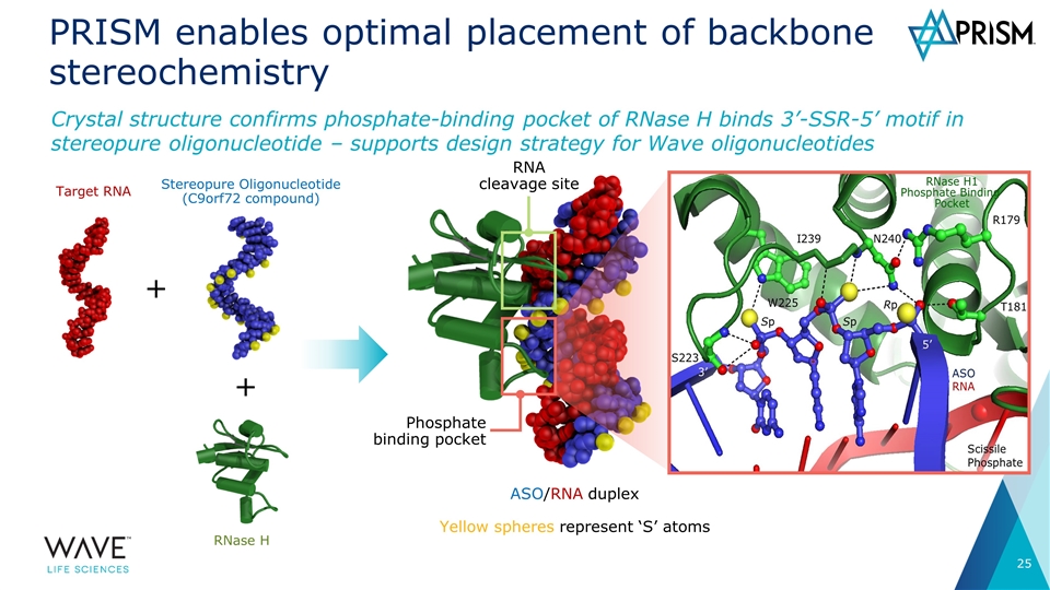 Slide 25