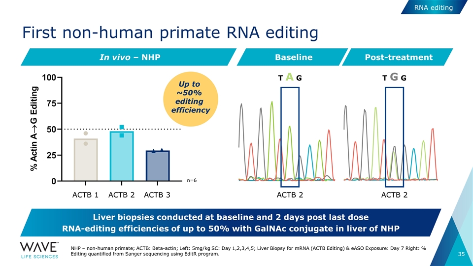 Slide 35