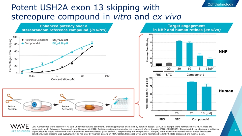 Slide 41