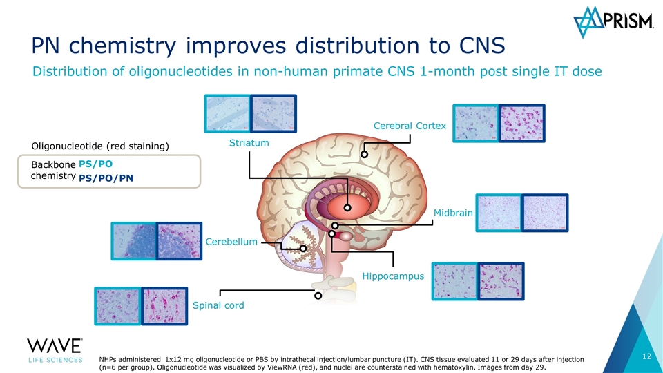 Slide 12