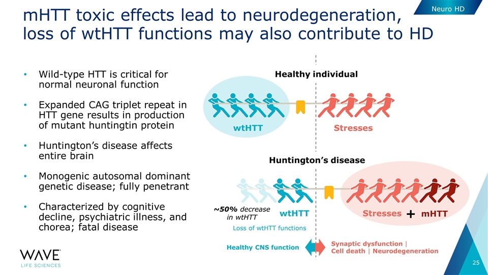 Slide 25