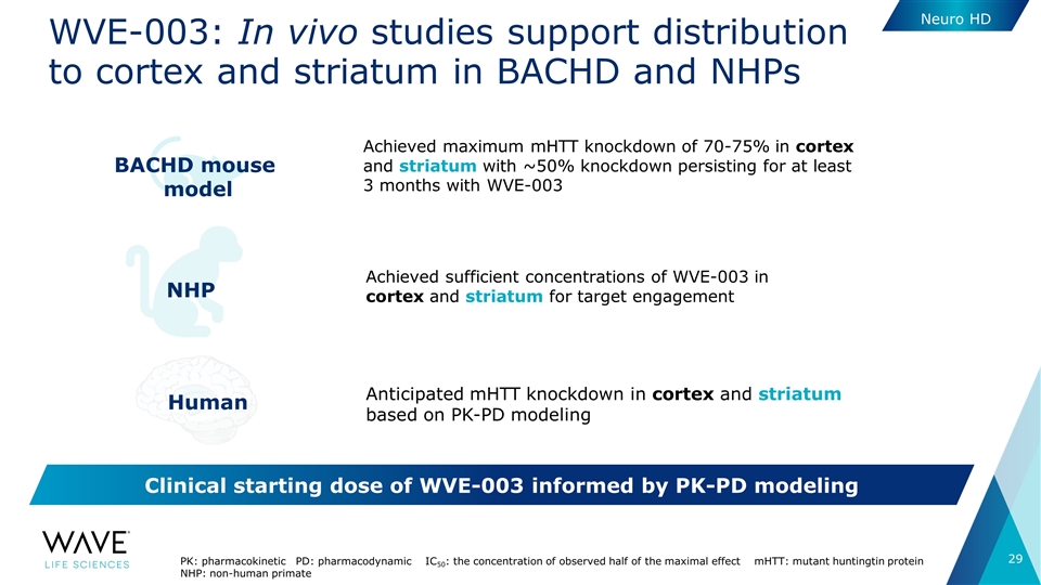 Slide 29