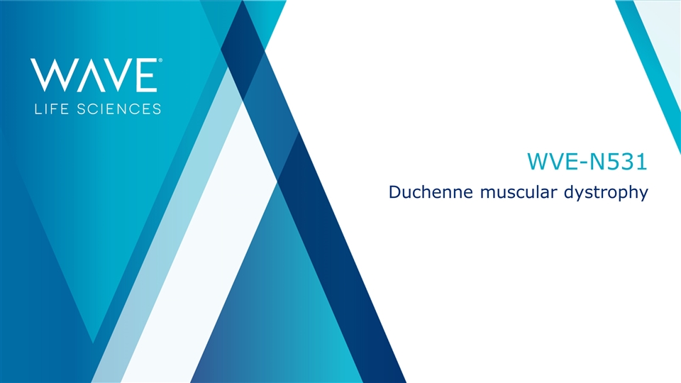 Slide 31