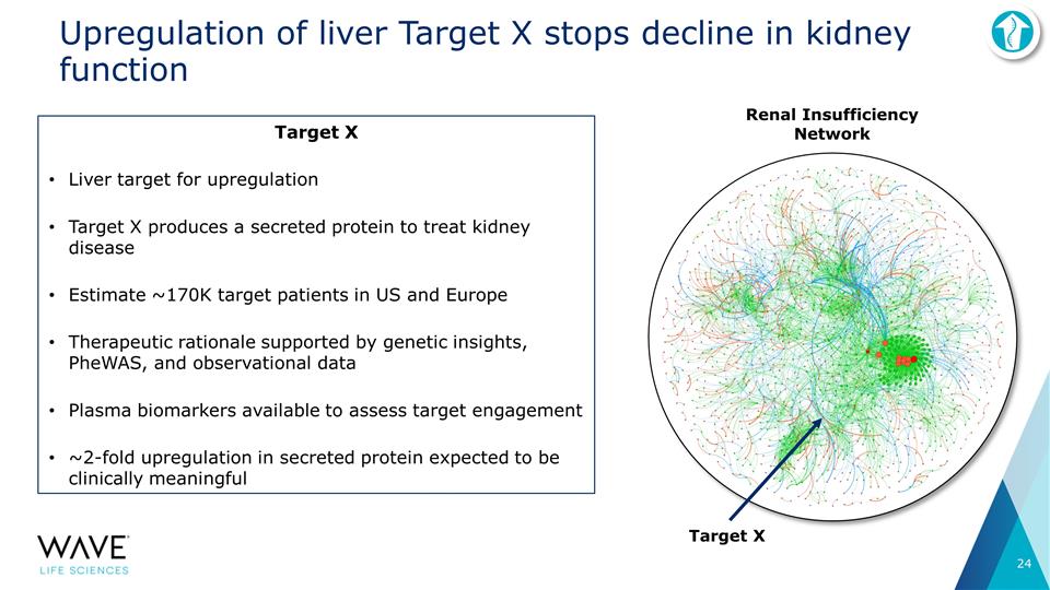 Slide 24