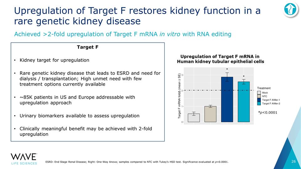 Slide 26