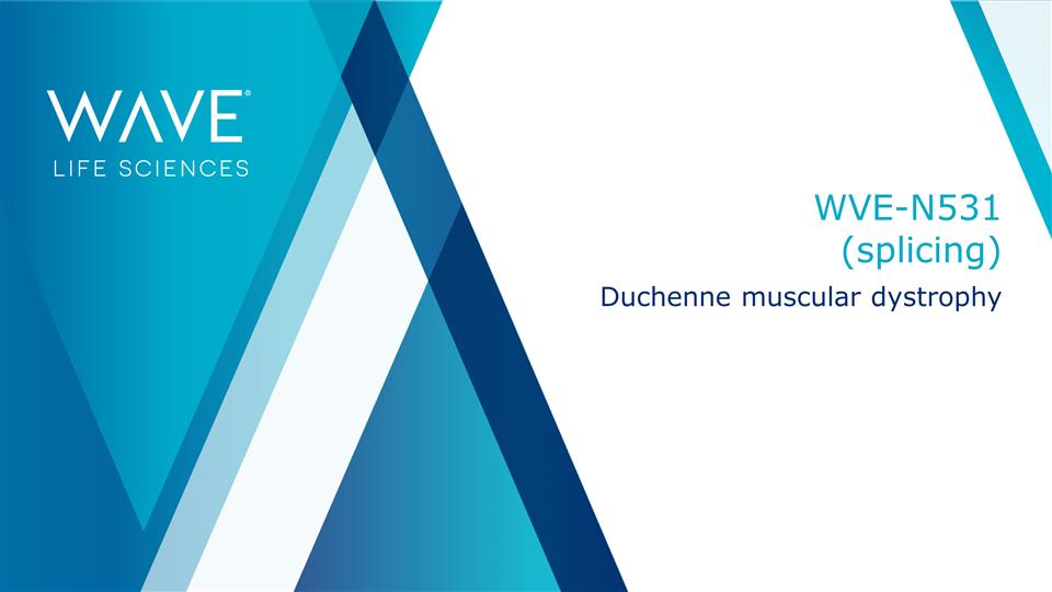 Slide 29