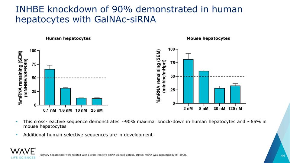 Slide 44