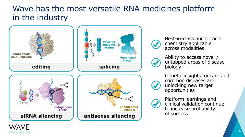 Slide 5