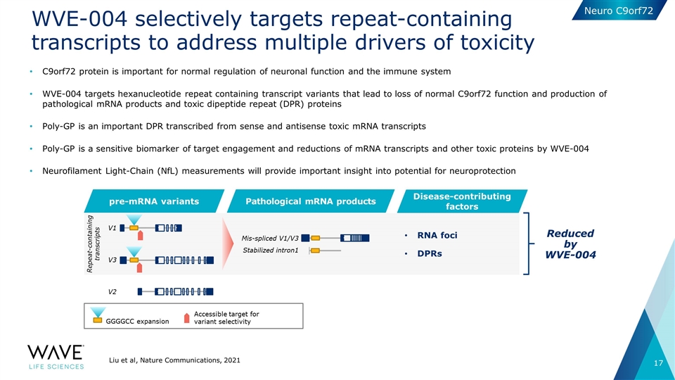 Slide 17