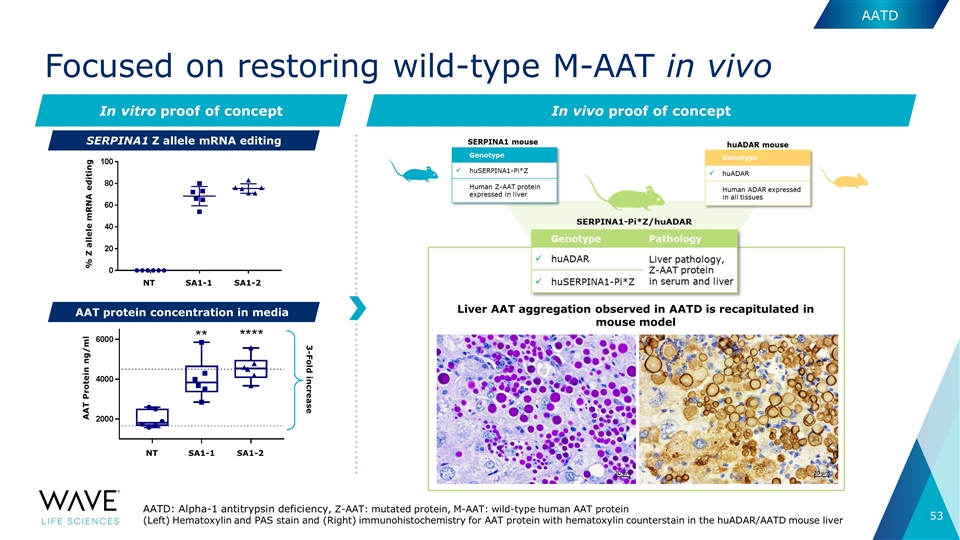 Slide 53