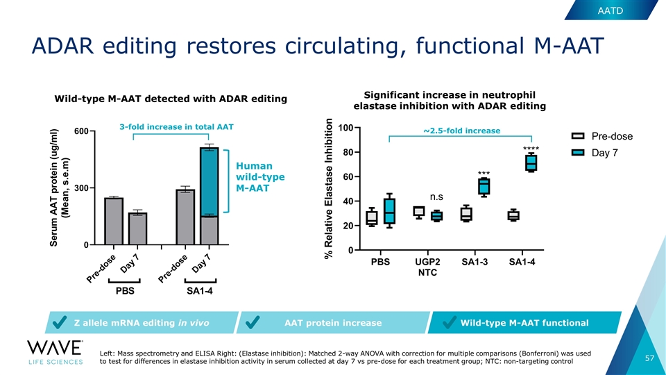 Slide 57