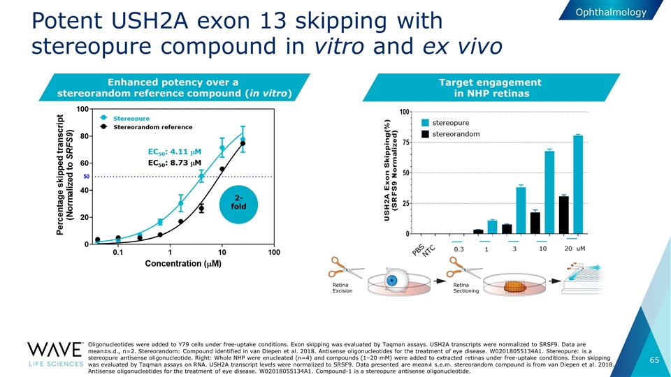 Slide 65