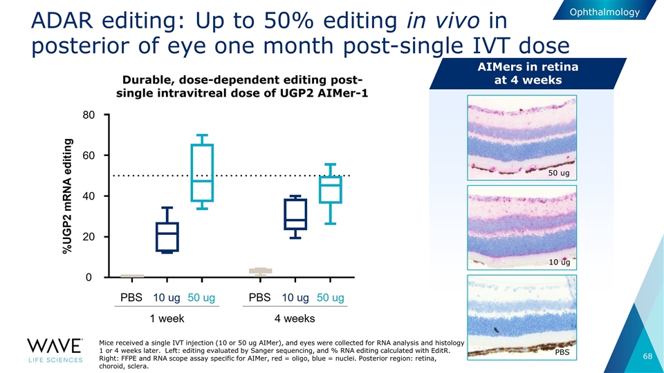 Slide 68