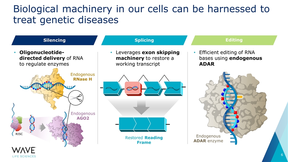 Slide 6