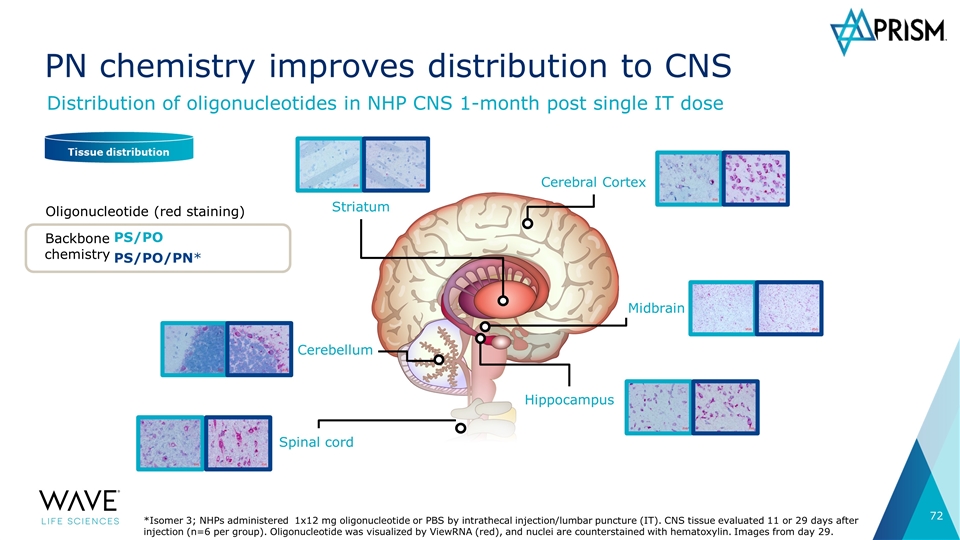 Slide 72