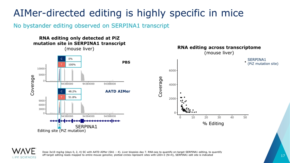 Slide 17