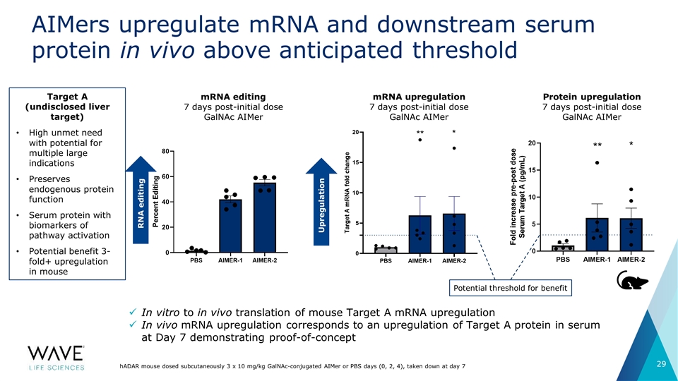 Slide 29