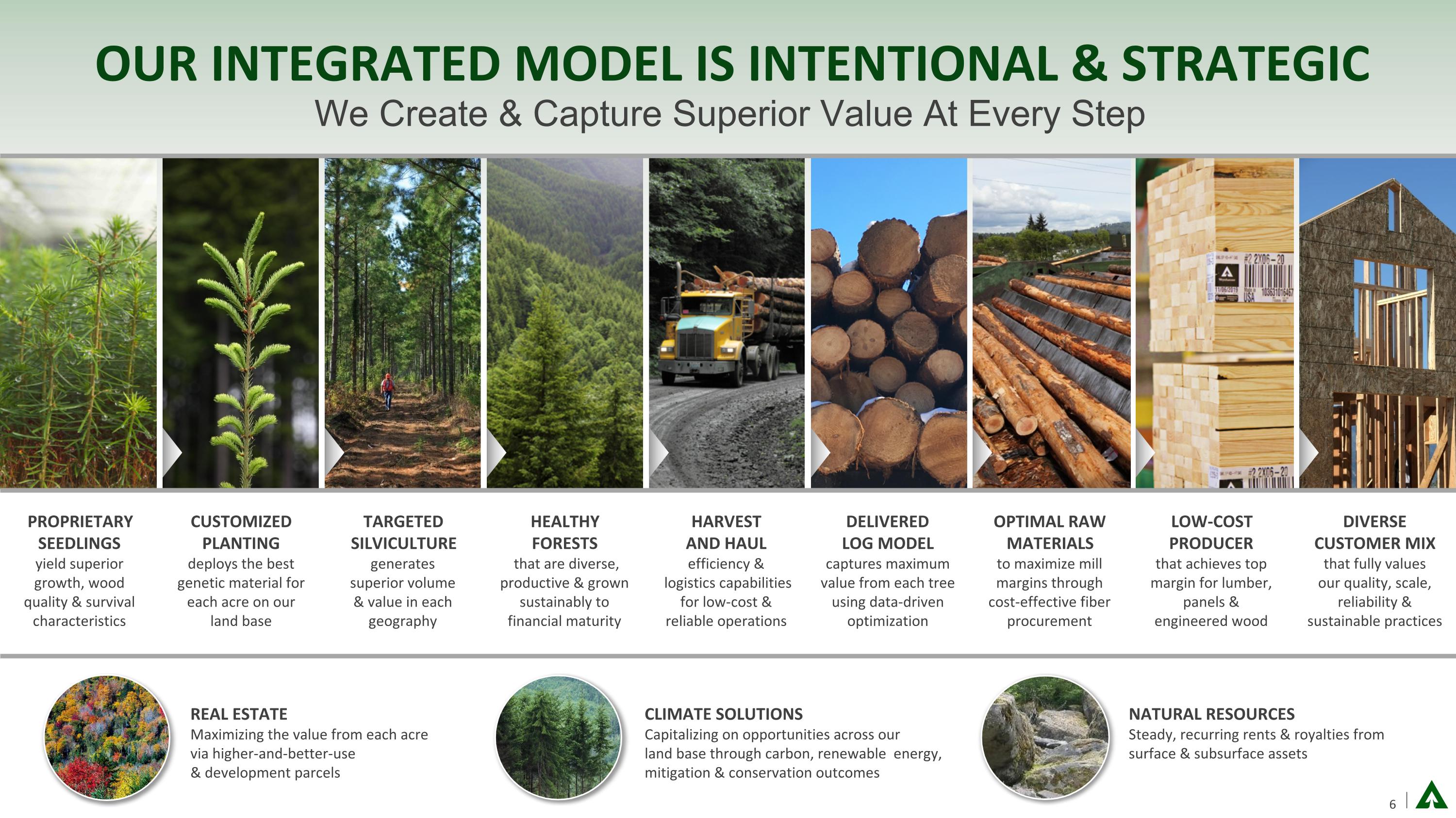 Slide 6