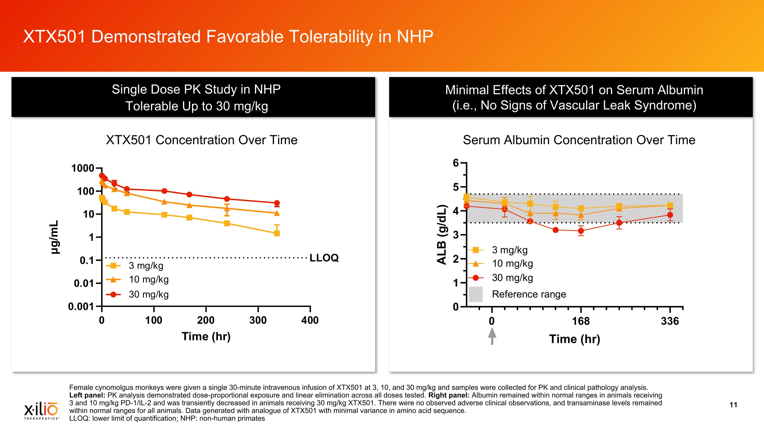 Slide 11