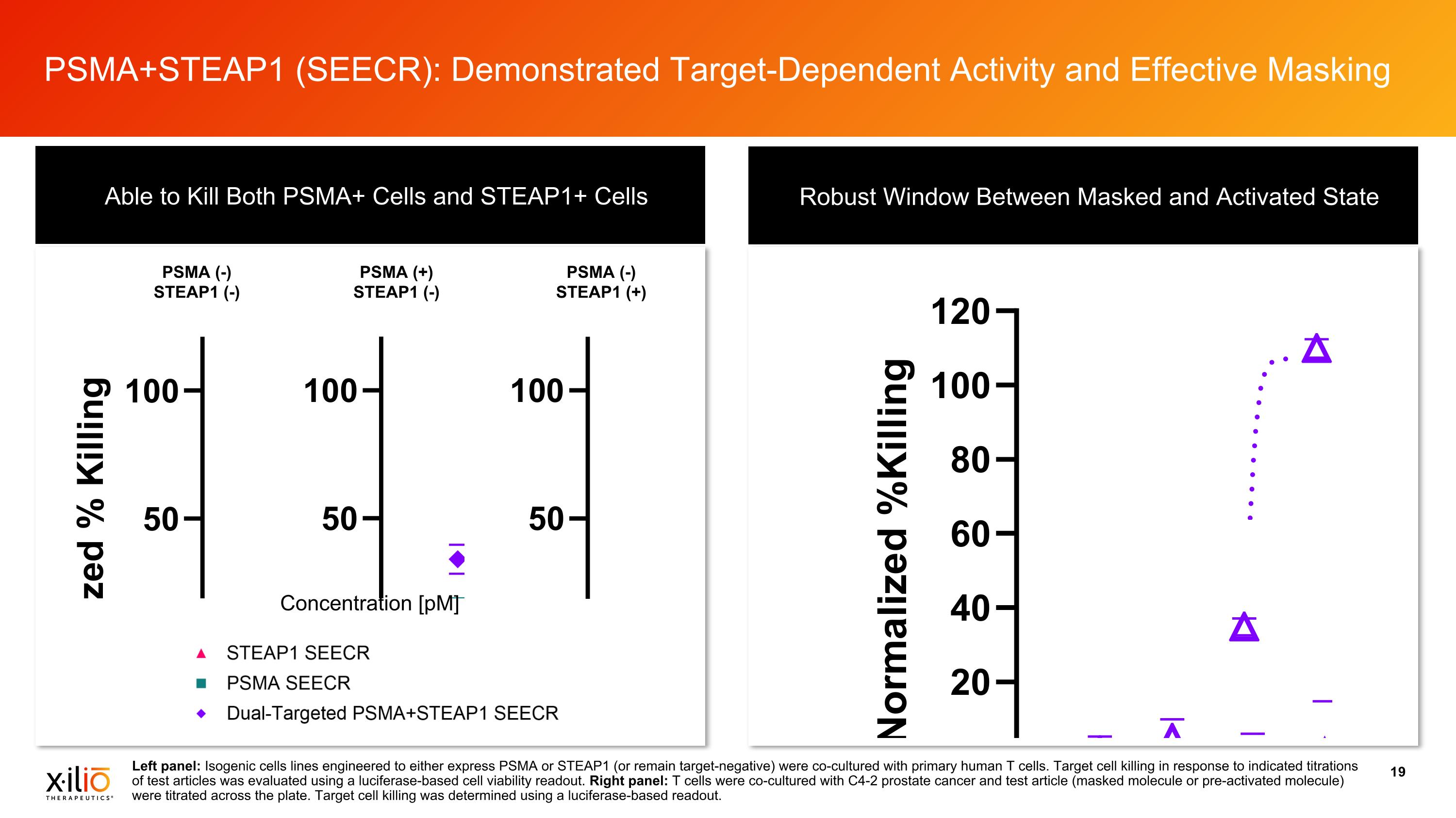 Slide 19