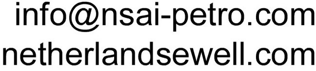 nsaifootergraphicii.jpg